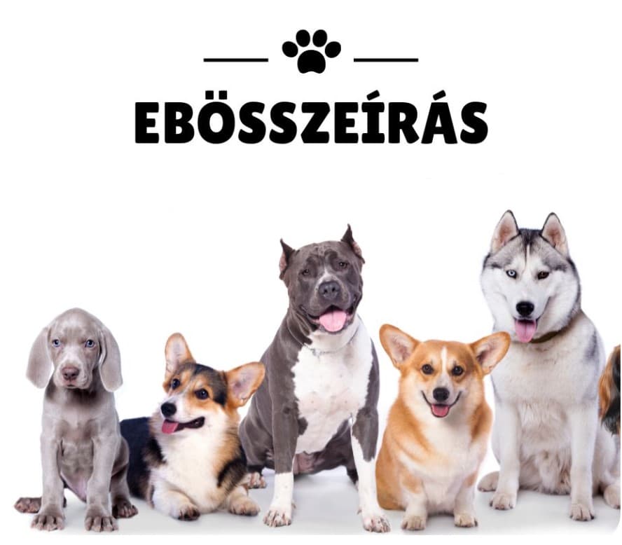 Ebösszeírás 2026. május 15-től – június 15-ig