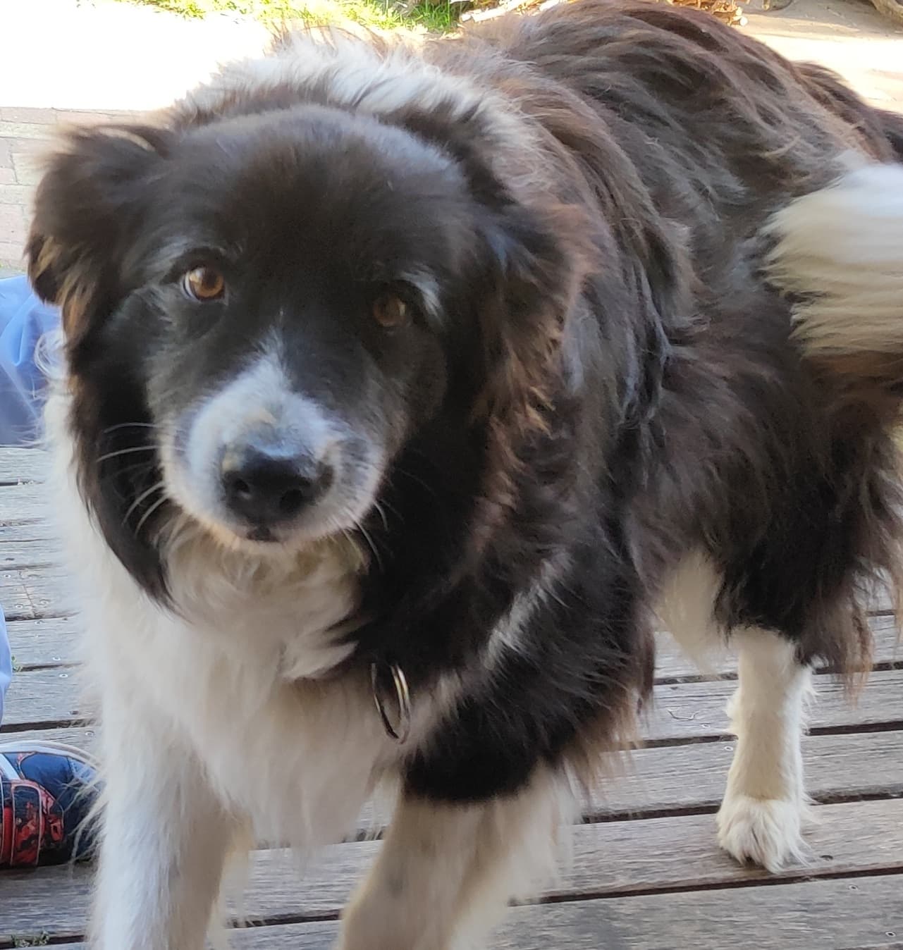 Eboltás Bakonykútiban és környékén